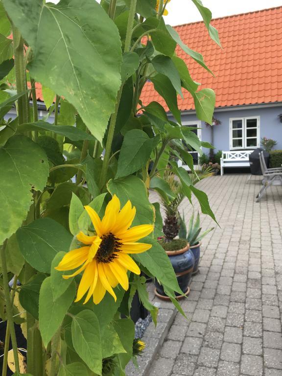 Appartement Ebeltoft Centrum Extérieur photo
